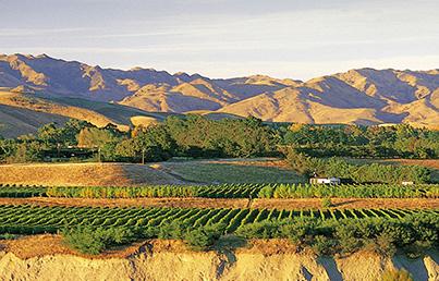 Babich Wines - Marlborough Wakefield Downs New Zealand Wine
