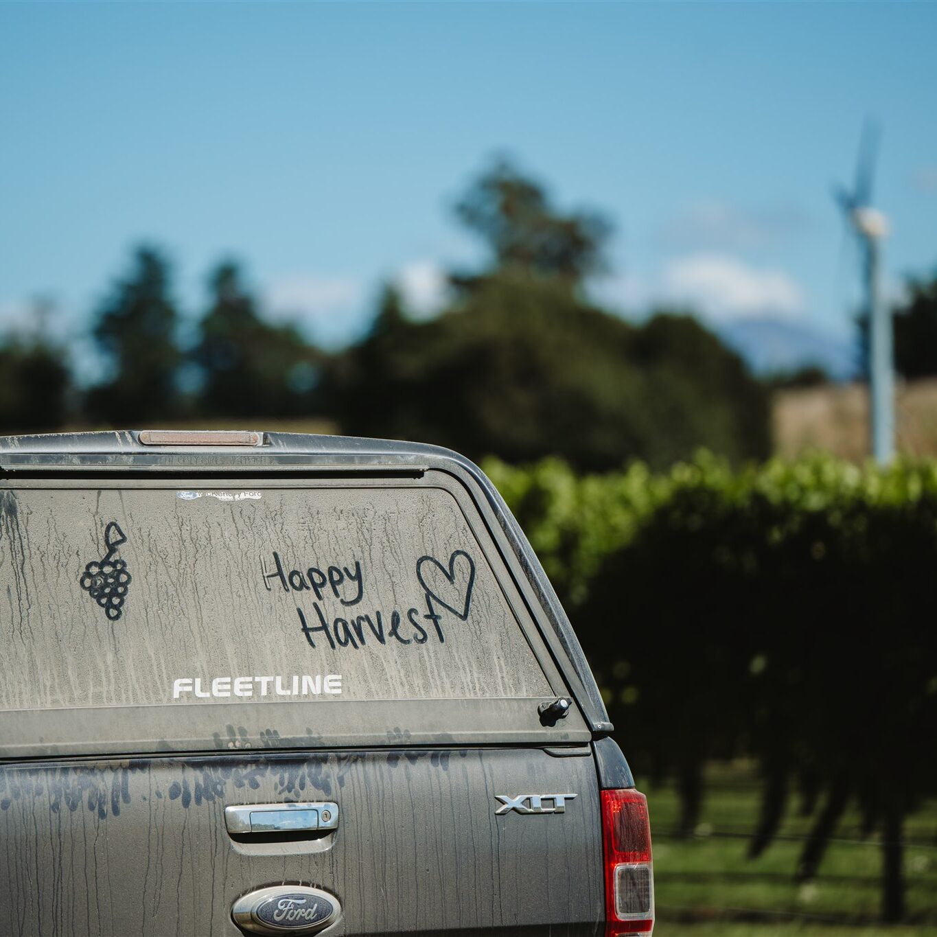 Babich Wines Vineyard Car with dust on screen. Grape drawn and 'Happy Harvest' with a love heart on rear window